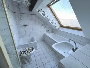 Bild6